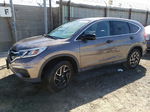 2016 Honda Cr-v Se Gray vin: 2HKRM3H42GH543416