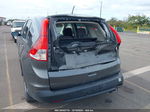 2013 Honda Cr-v Ex Gray vin: 2HKRM3H5XDH507364