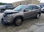 2015 Honda Cr-v Exl Brown vin: 2HKRM3H71FH528138