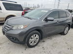 2012 Honda Cr-v Exl Gray vin: 2HKRM3H75CH513783