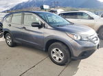 2013 Honda Cr-v Lx Charcoal vin: 2HKRM4H37DH638501