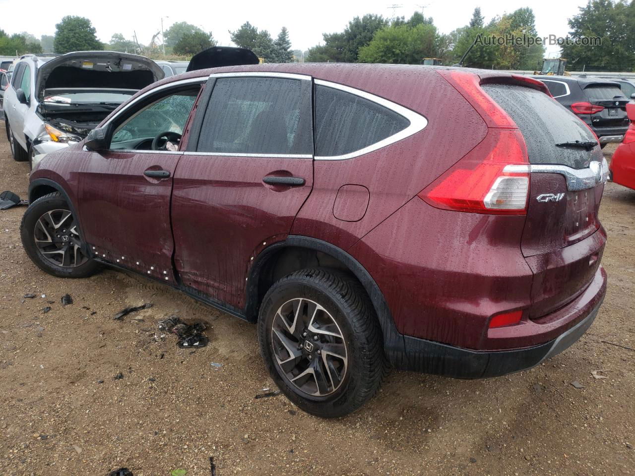 2016 Honda Cr-v Se Maroon vin: 2HKRM4H42GH679437