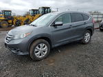 2012 Honda Cr-v Ex Серый vin: 2HKRM4H54CH628203