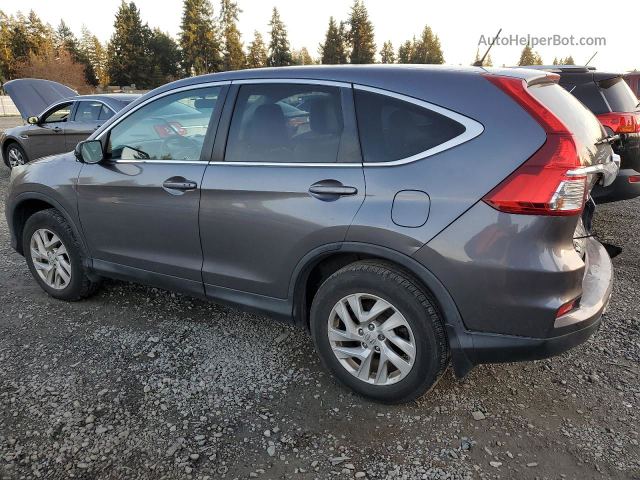 2016 Honda Cr-v Ex Gray vin: 2HKRM4H56GH604166