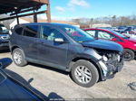 2016 Honda Cr-v Ex Gray vin: 2HKRM4H57GH708925