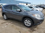 2013 Honda Cr-v Exl Gray vin: 2HKRM4H70DH660262