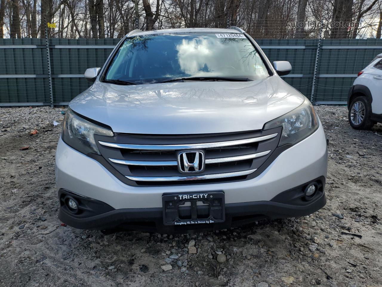 2013 Honda Cr-v Exl Silver vin: 2HKRM4H72DH635573