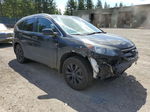 2013 Honda Cr-v Exl Black vin: 2HKRM4H73DH647764