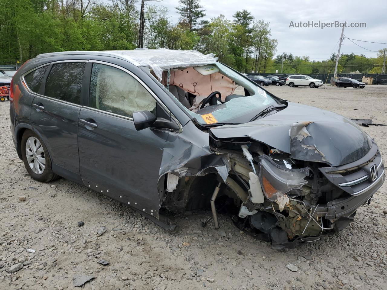 2013 Honda Cr-v Exl Gray vin: 2HKRM4H74DH617740