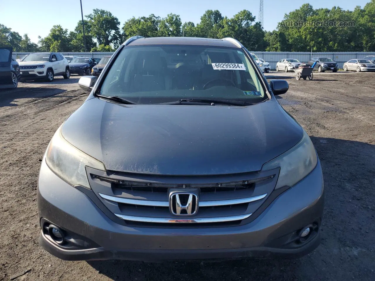 2012 Honda Cr-v Exl Gray vin: 2HKRM4H76CH611663