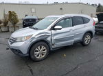 2013 Honda Cr-v Exl Silver vin: 2HKRM4H79DH635408