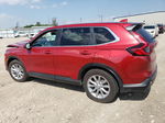 2023 Honda Cr-v Ex Red vin: 2HKRS4H49PH404279