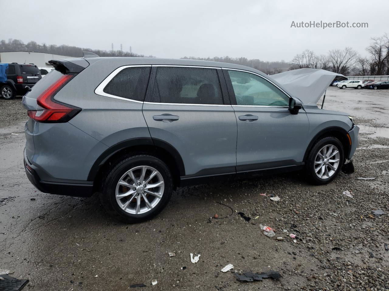 2023 Honda Cr-v Exl Gray vin: 2HKRS4H74PH440343