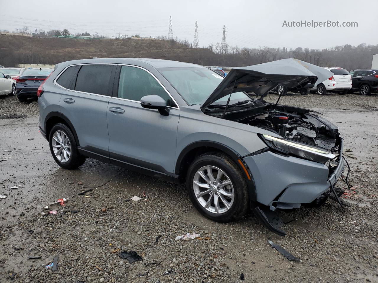 2023 Honda Cr-v Exl Gray vin: 2HKRS4H74PH440343