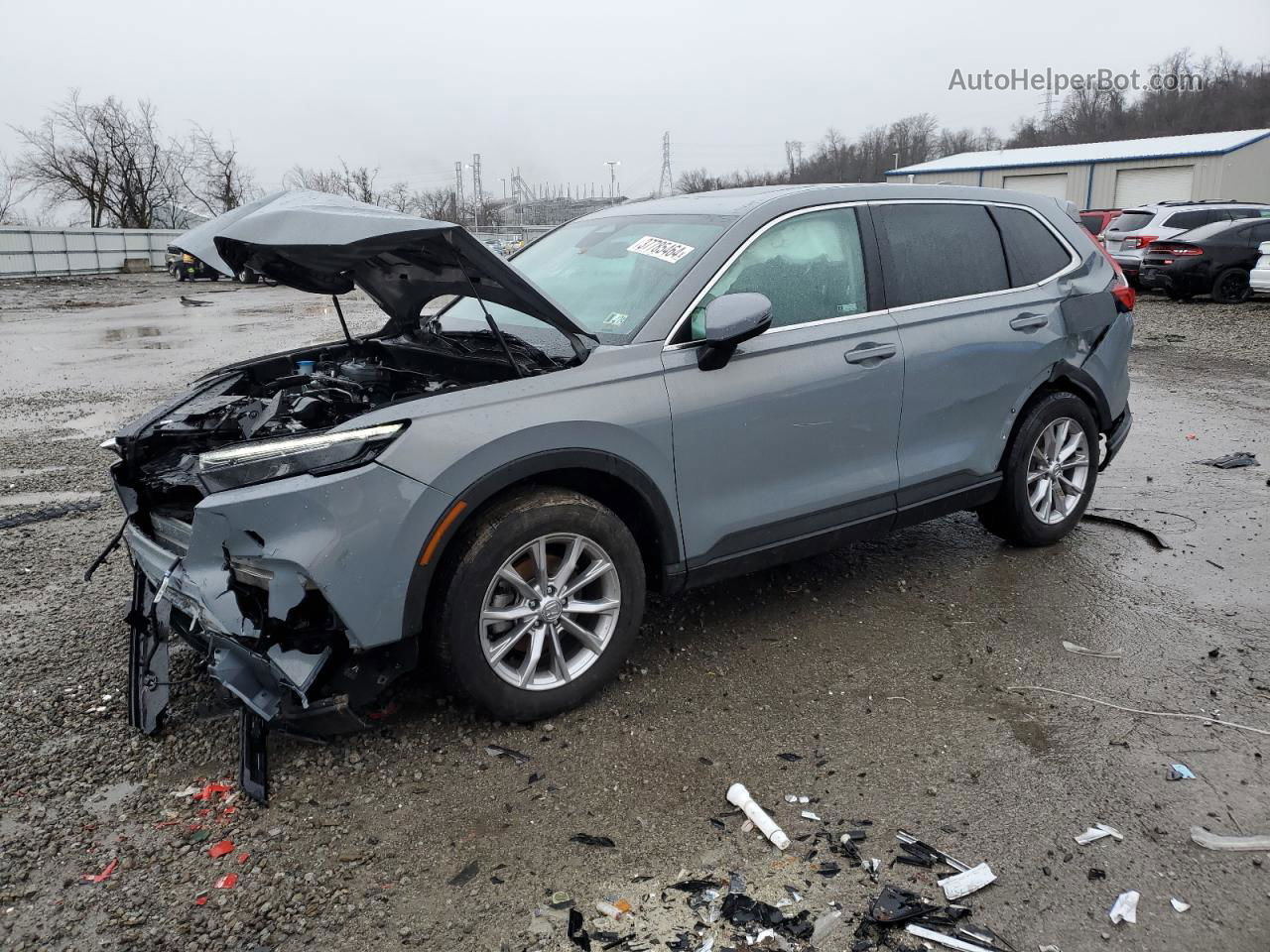 2023 Honda Cr-v Exl Gray vin: 2HKRS4H74PH440343