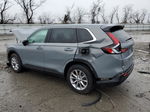 2023 Honda Cr-v Exl Gray vin: 2HKRS4H74PH440343