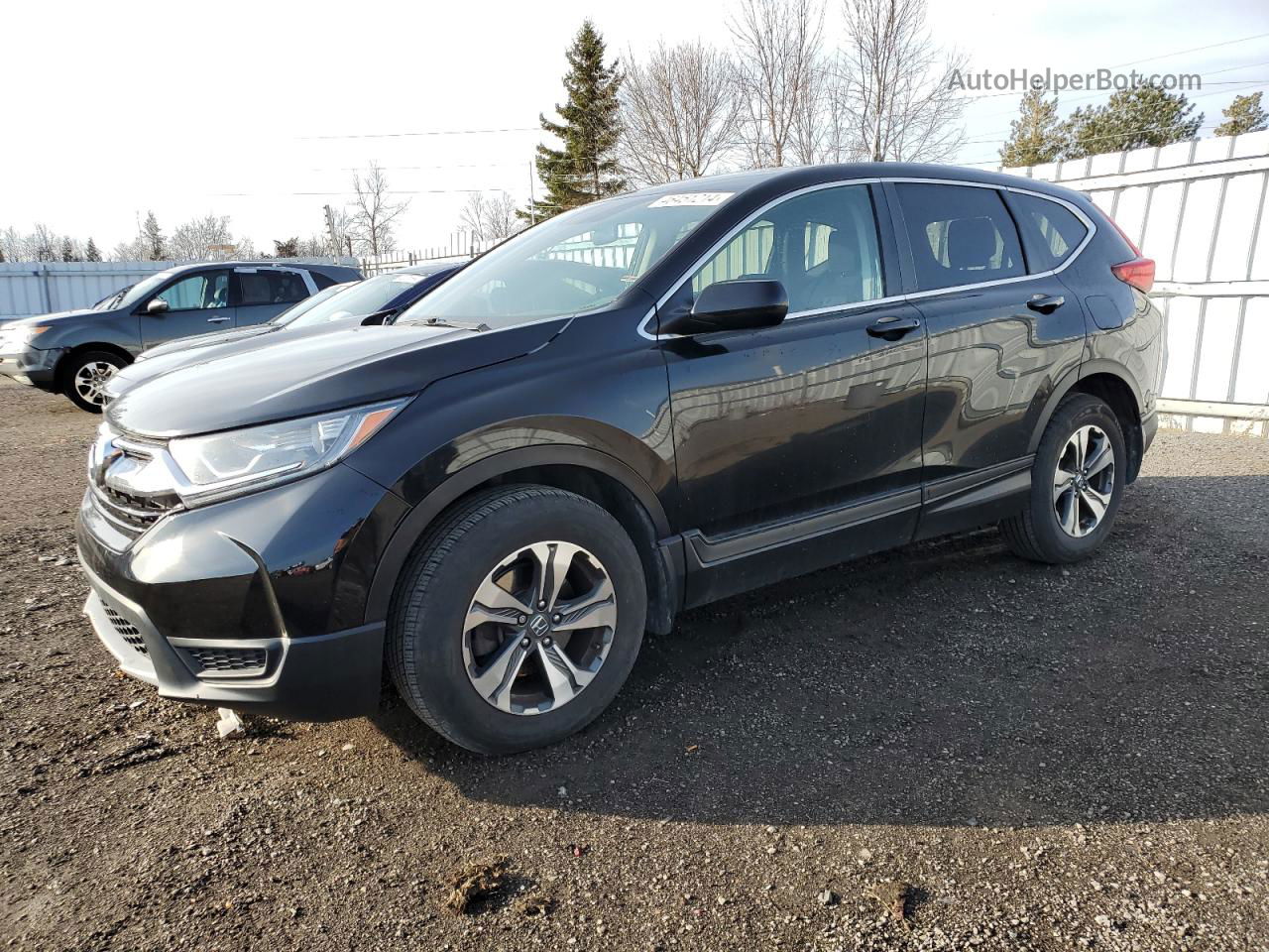 2019 Honda Cr-v Lx Black vin: 2HKRW1H35KH003881