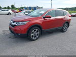 2019 Honda Cr-v Ex Red vin: 2HKRW1H52KH506785