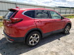 2020 Honda Cr-v Ex Red vin: 2HKRW1H52LH404677