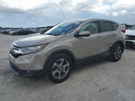 2019 Honda Cr-v Exl Beige vin: 2HKRW1H85KH503213