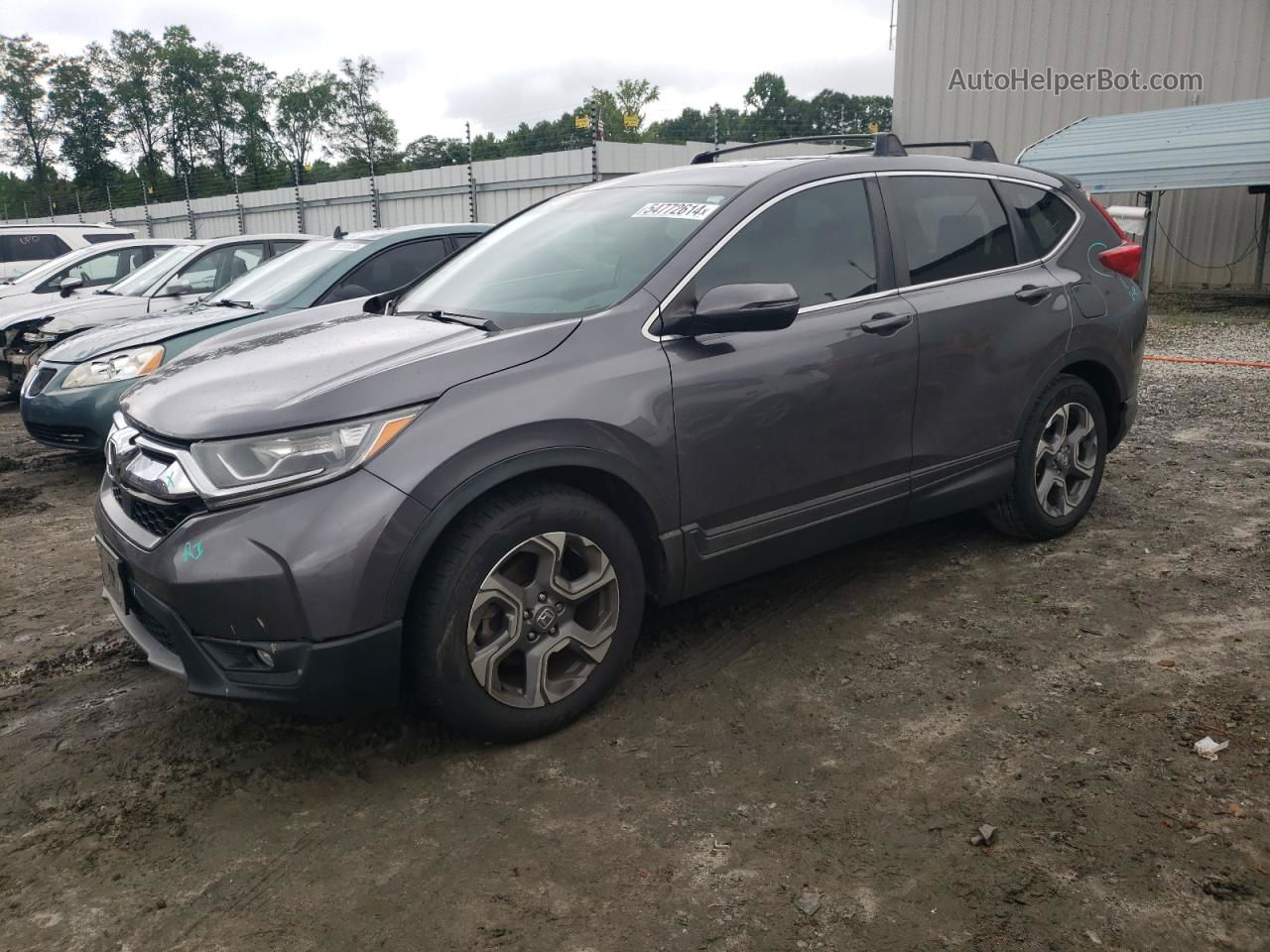 2019 Honda Cr-v Exl Gray vin: 2HKRW1H85KH514857