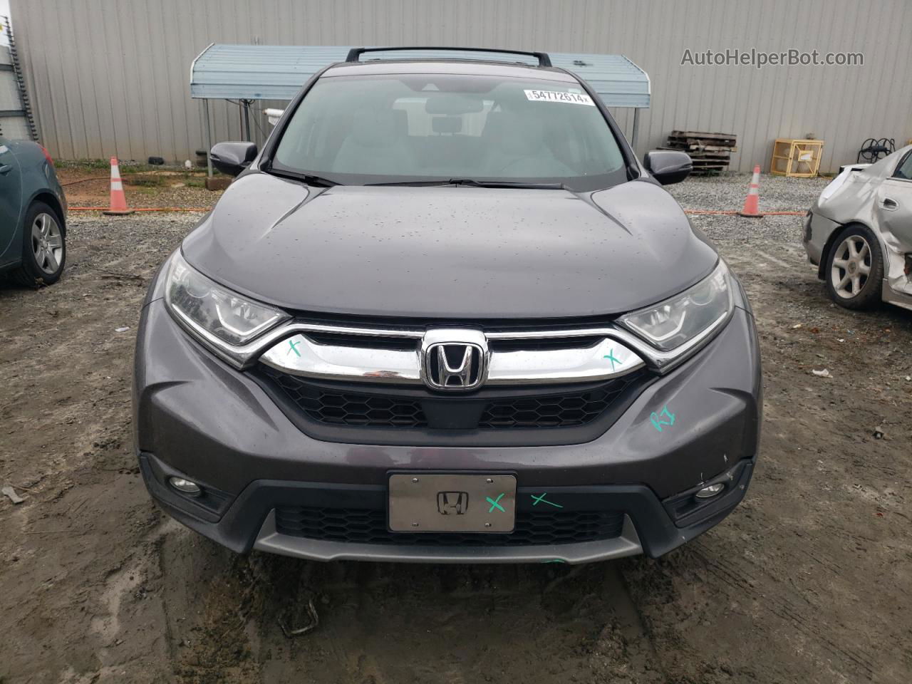 2019 Honda Cr-v Exl Gray vin: 2HKRW1H85KH514857