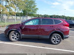 2019 Honda Cr-v Ex Burgundy vin: 2HKRW2H50KH623464