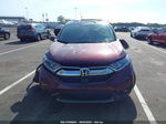 2019 Honda Cr-v Ex Burgundy vin: 2HKRW2H50KH623464