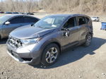 2018 Honda Cr-v Ex Gray vin: 2HKRW2H51JH101960