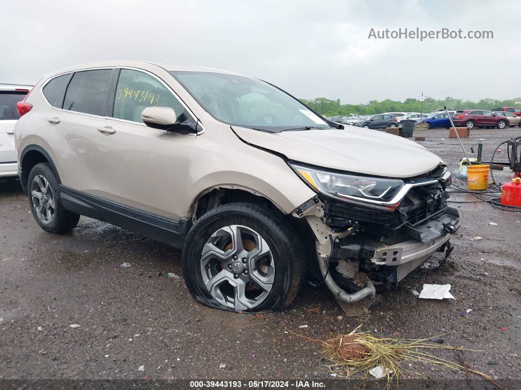 2019 Honda Cr-v Ex Tan vin: 2HKRW2H52KH617729