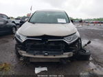 2019 Honda Cr-v Ex Tan vin: 2HKRW2H52KH617729