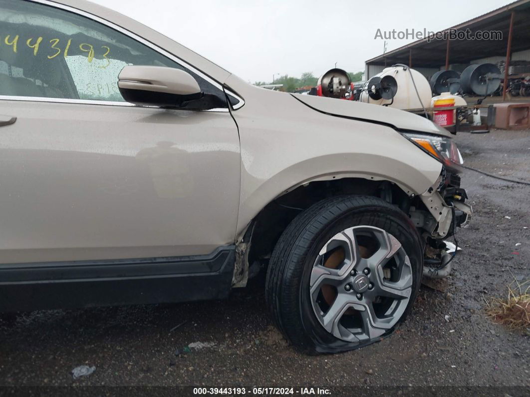 2019 Honda Cr-v Ex Tan vin: 2HKRW2H52KH617729