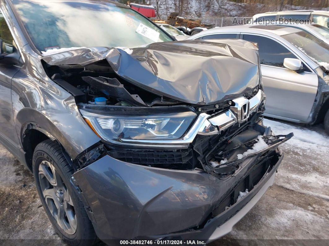 2019 Honda Cr-v Ex Gray vin: 2HKRW2H52KH674271