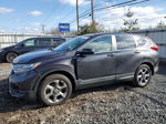 2019 Honda Cr-v Ex Black vin: 2HKRW2H53KH640792