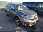 2019 Honda Cr-v Ex Gray vin: 2HKRW2H53KH662808