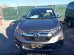 2019 Honda Cr-v Ex Gray vin: 2HKRW2H53KH662808