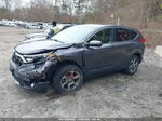 2019 Honda Cr-v Ex Gray vin: 2HKRW2H54KH658945