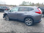 2019 Honda Cr-v Ex Gray vin: 2HKRW2H54KH658945