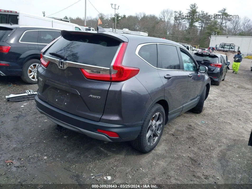 2019 Honda Cr-v Ex Gray vin: 2HKRW2H54KH658945