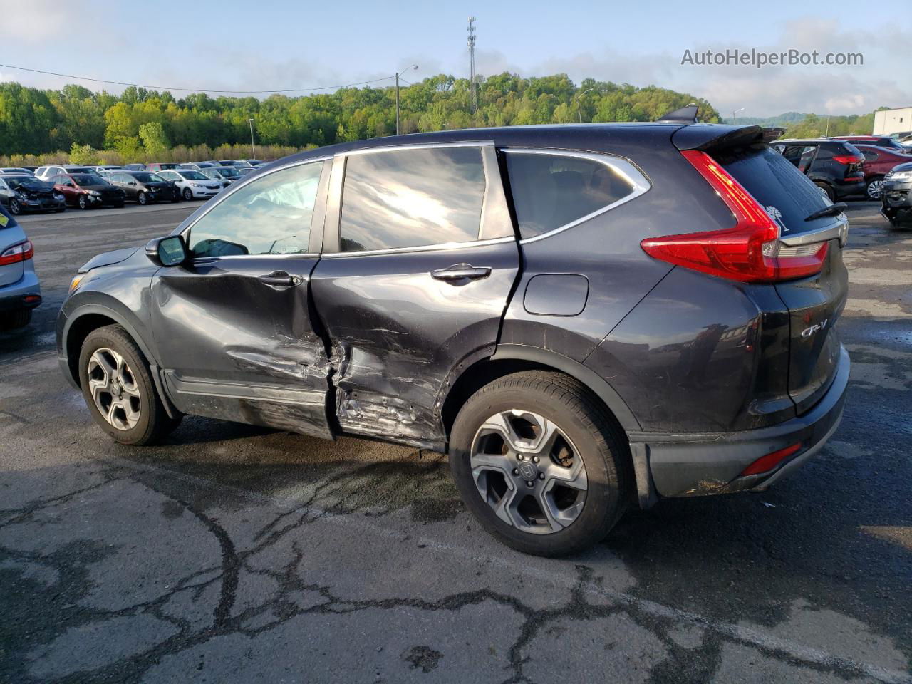 2019 Honda Cr-v Ex Gray vin: 2HKRW2H55KH657089