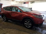 2018 Honda Cr-v Ex Burgundy vin: 2HKRW2H57JH636341