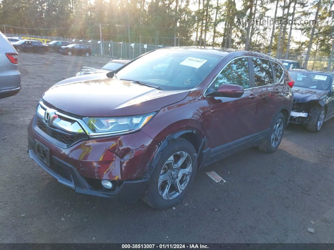 2019 Honda Cr-v Ex Maroon vin: 2HKRW2H58KH623387