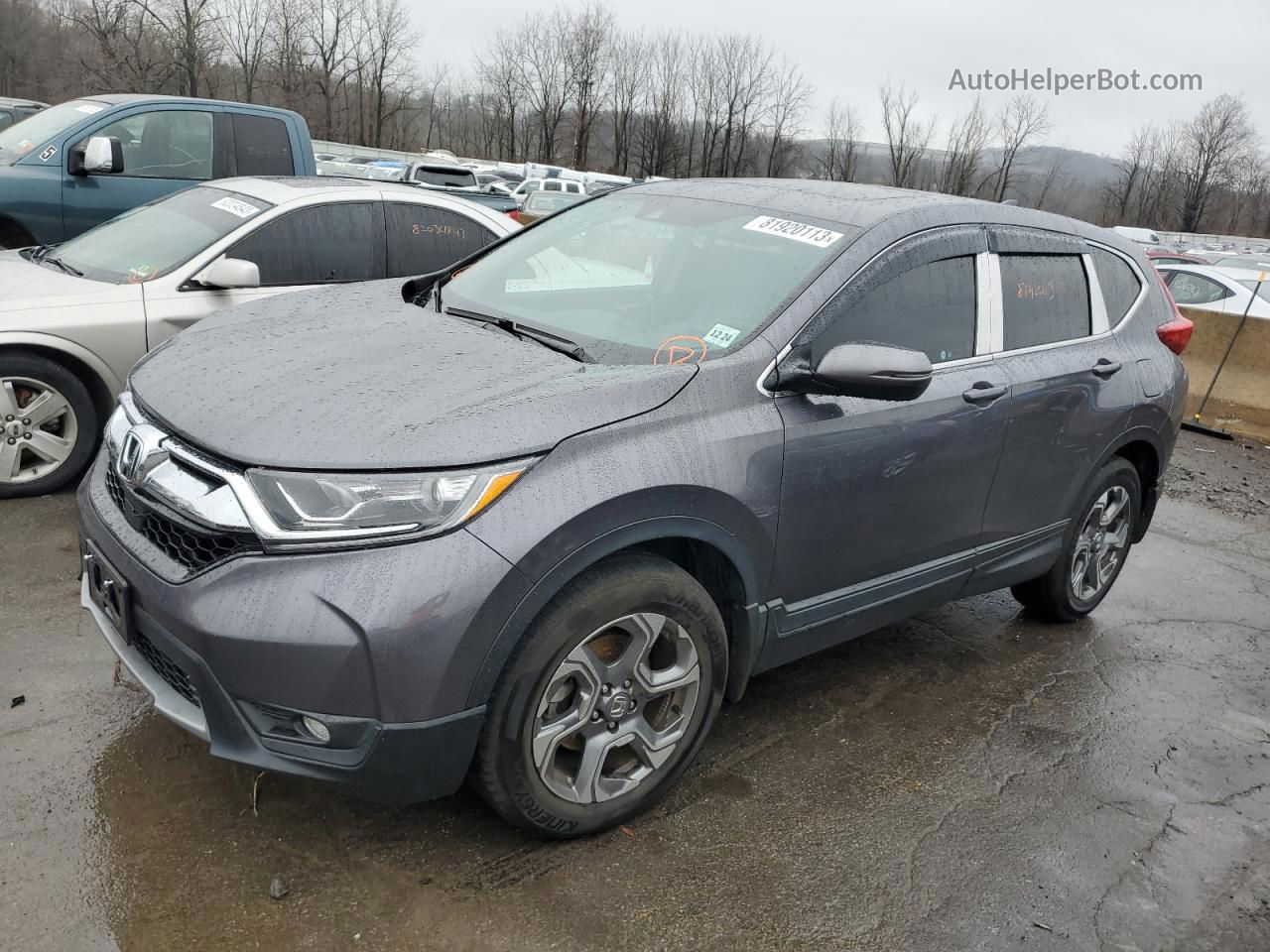 2019 Honda Cr-v Ex Gray vin: 2HKRW2H58KH674257