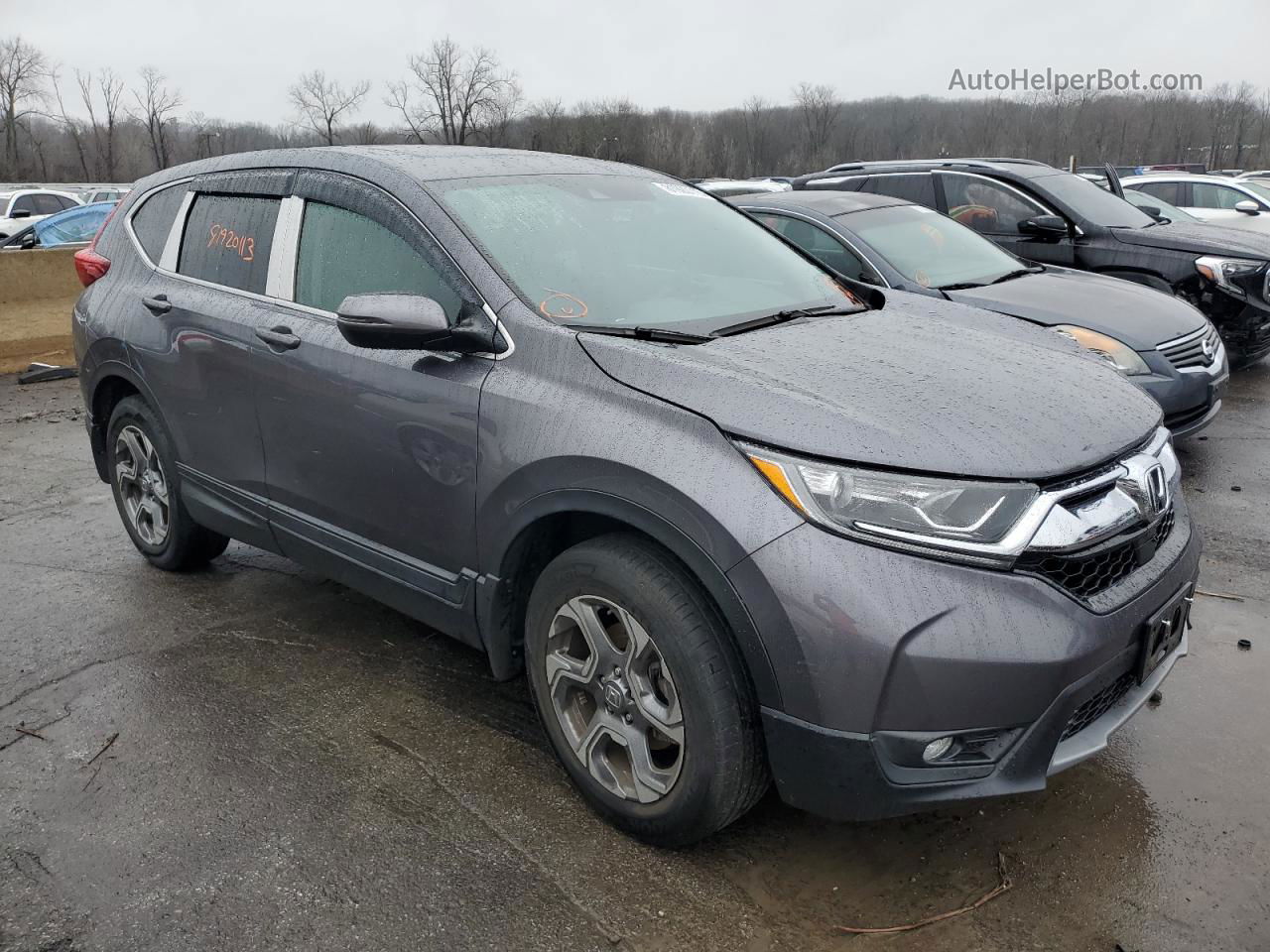 2019 Honda Cr-v Ex Gray vin: 2HKRW2H58KH674257