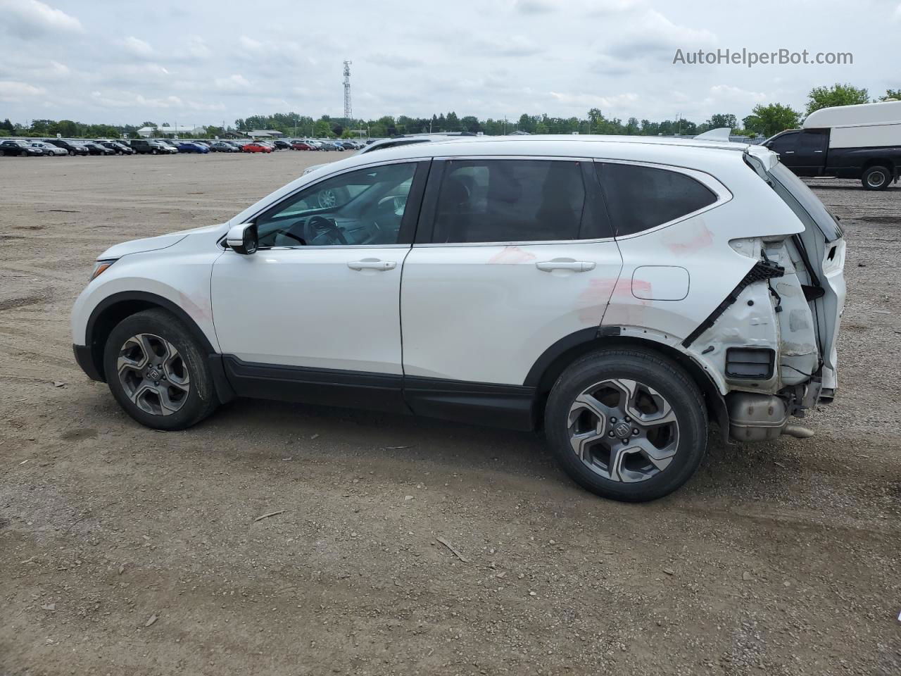 2019 Honda Cr-v Ex White vin: 2HKRW2H59KH143259