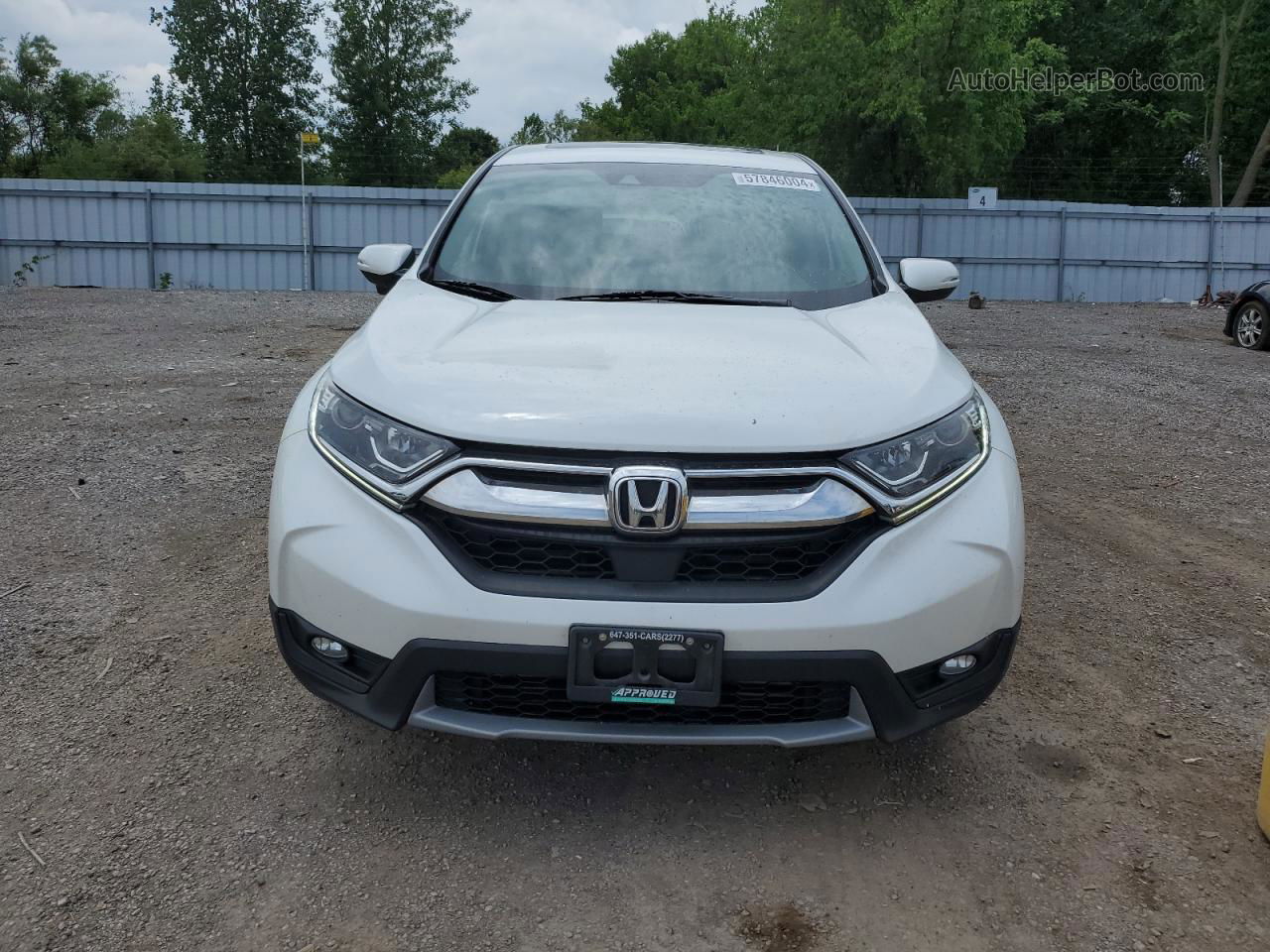 2019 Honda Cr-v Ex White vin: 2HKRW2H59KH143259