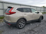 2019 Honda Cr-v Ex Tan vin: 2HKRW2H59KH624130