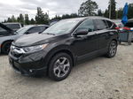 2019 Honda Cr-v Exl Black vin: 2HKRW2H80KH625337