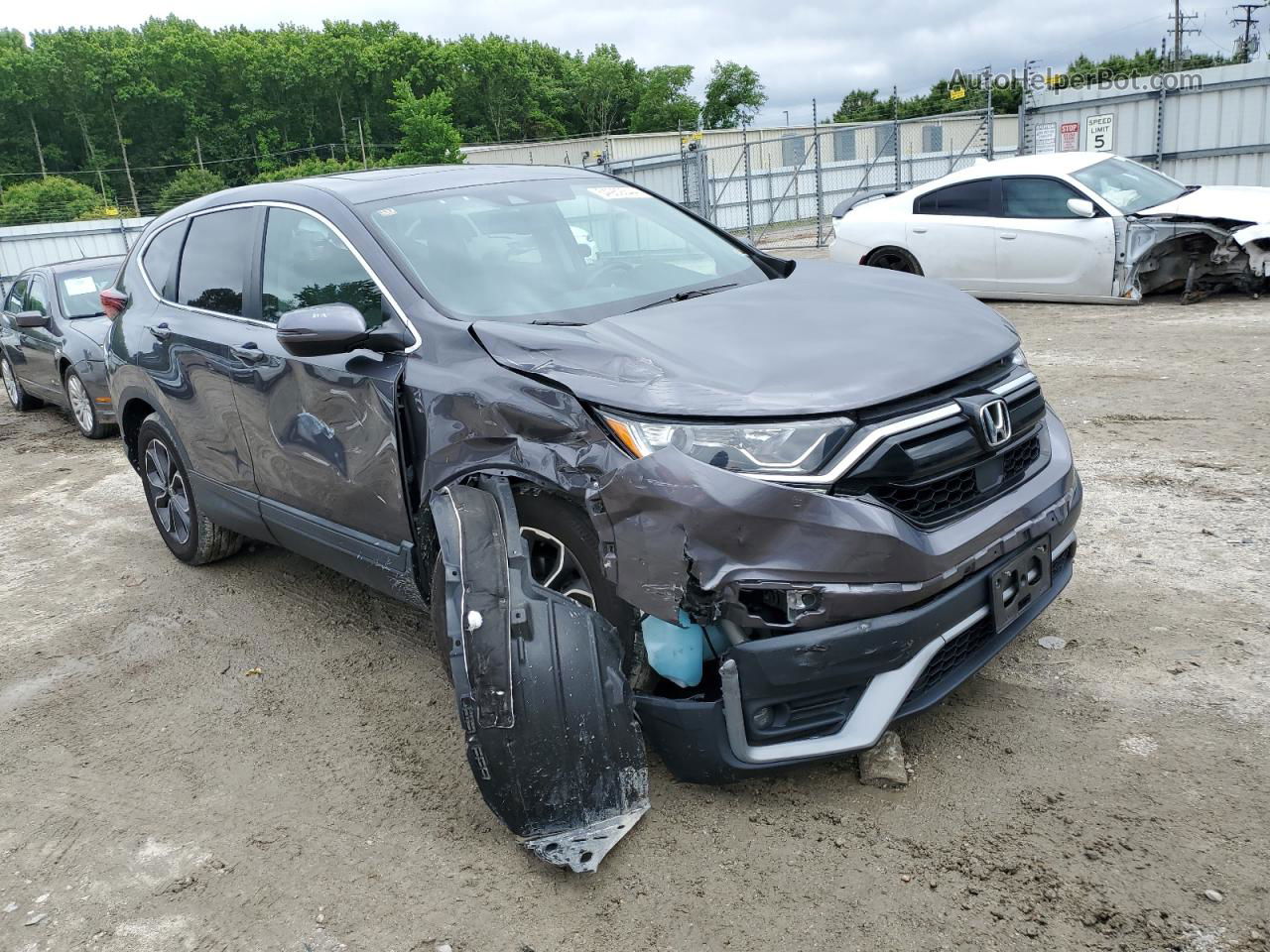 2020 Honda Cr-v Exl Серый vin: 2HKRW2H81LH685273