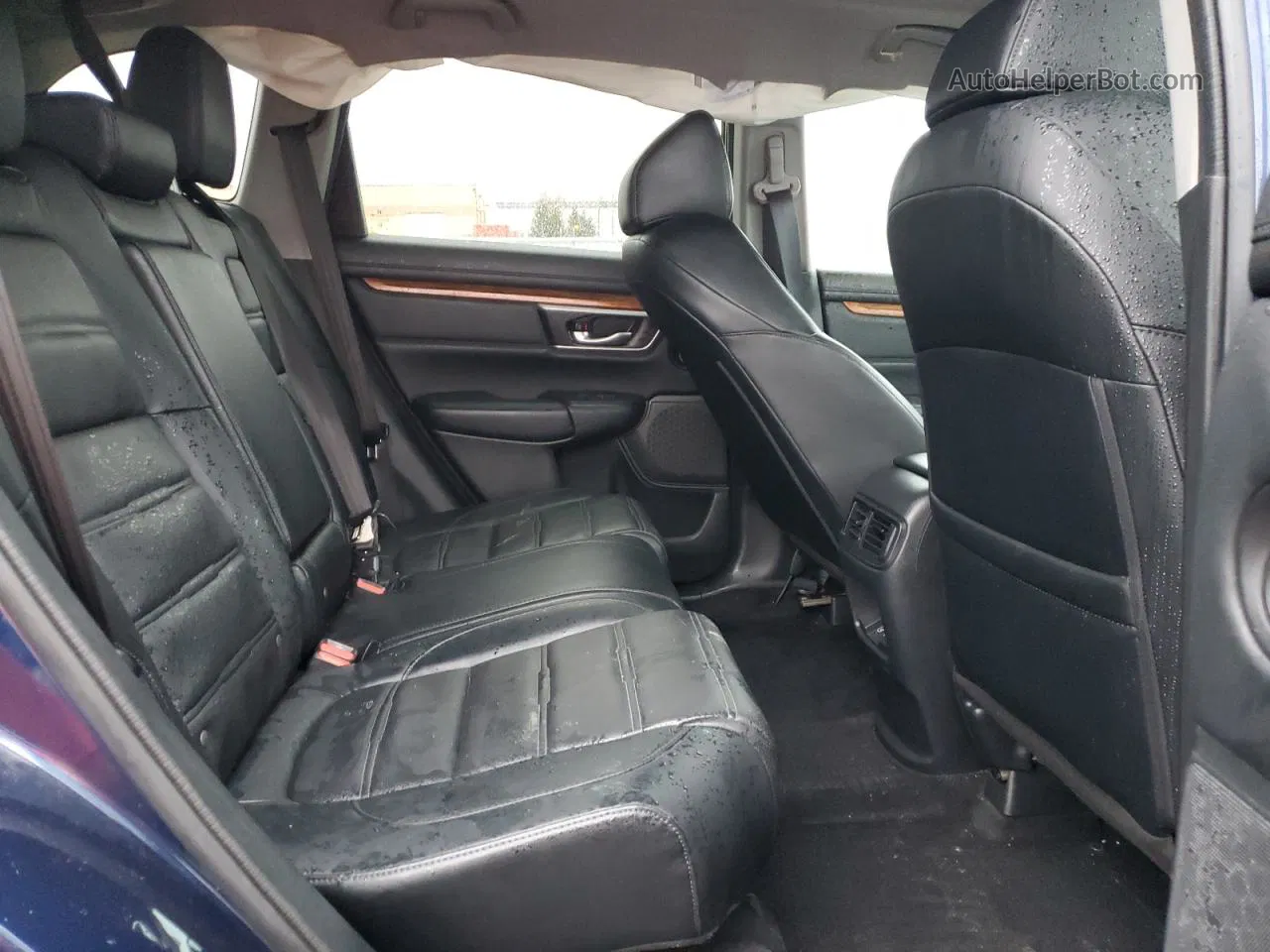 2019 Honda Cr-v Exl Blue vin: 2HKRW2H82KH140780